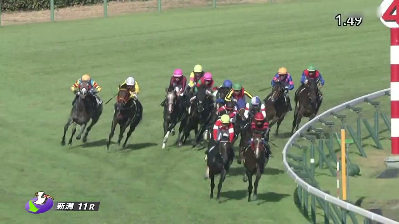 2023 08 19 新潟11R 日本海ステークス ドゥレッツァ(戸崎圭太)