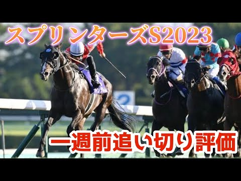 スプリンターズステークス2023 一週前追い切り評価
