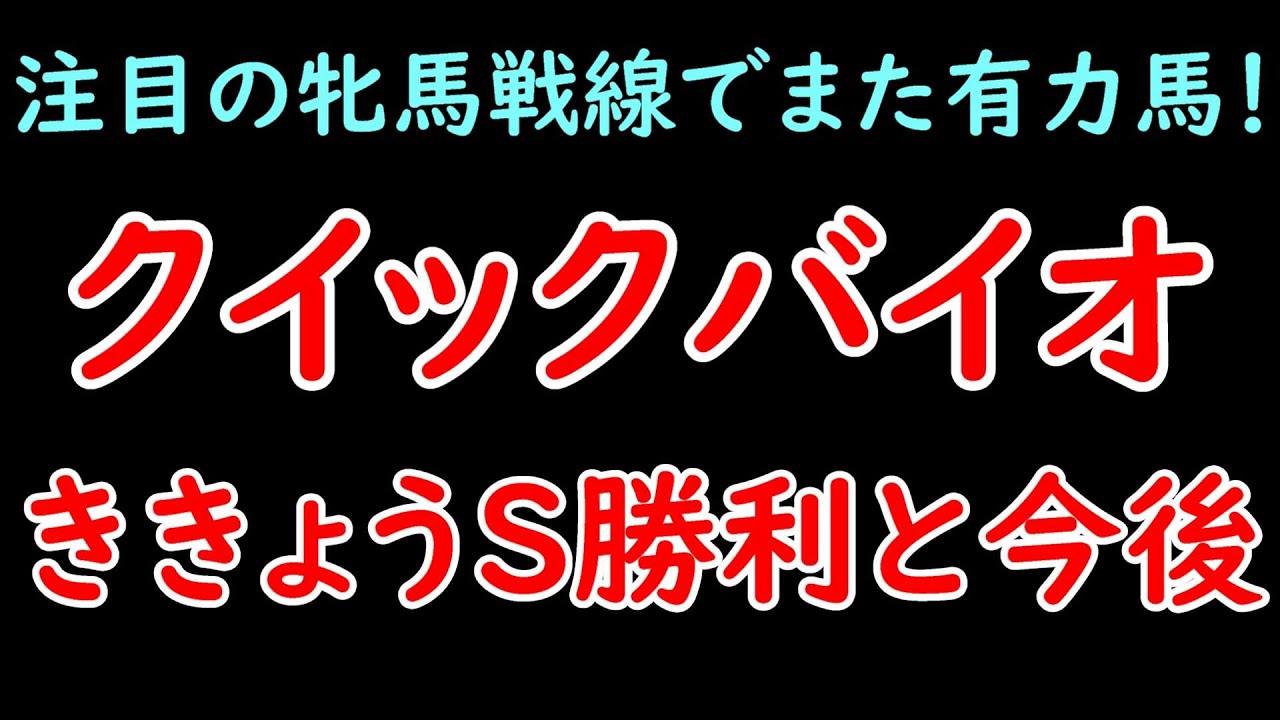 クイックバイオは牝馬戦線の台風の目となるか！？出世レースのききょうステークスを勝利し有力候補に！【POG23-24】