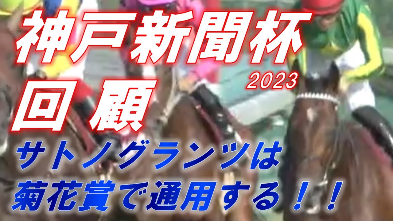 神戸新聞杯2023　回顧　サトノグランツは菊花賞で通用する！！　ハーツコンチェルトも出走出来れば…　元馬術選手のコラム by アラシ
