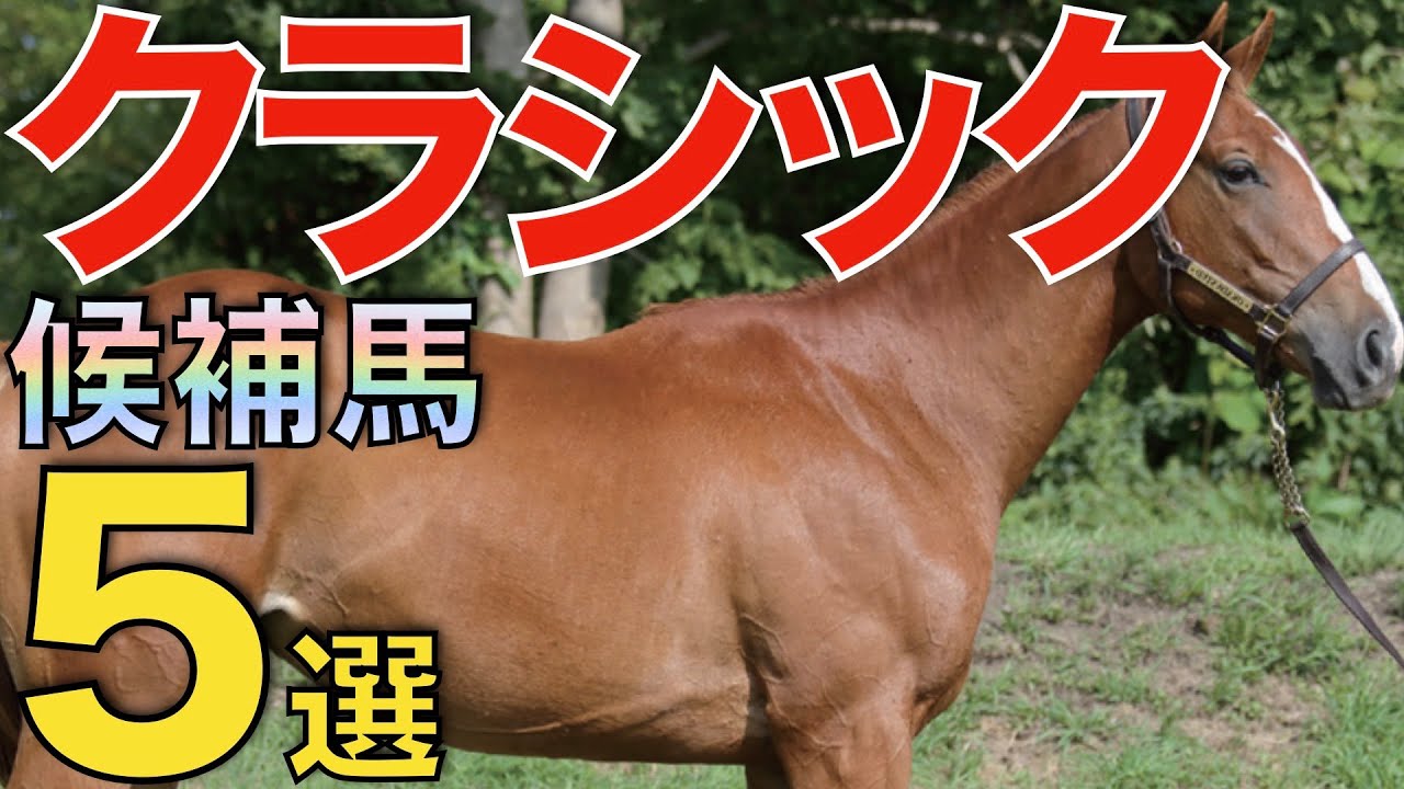 【未来のスター】今年の2歳戦でクラシックを予感させた馬5選！牝馬の勝ちっぷりが目を引く。