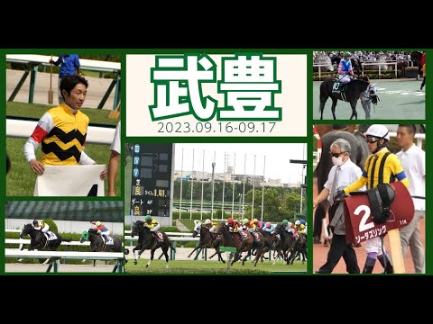 【武豊】先週の武豊 ソーダズリングから2勝目を挙げたディアサクセサー、ウォーターナビレラ引退！今週末の想定と最後に皆さん大好きのシーン先週分をまとめて公開！