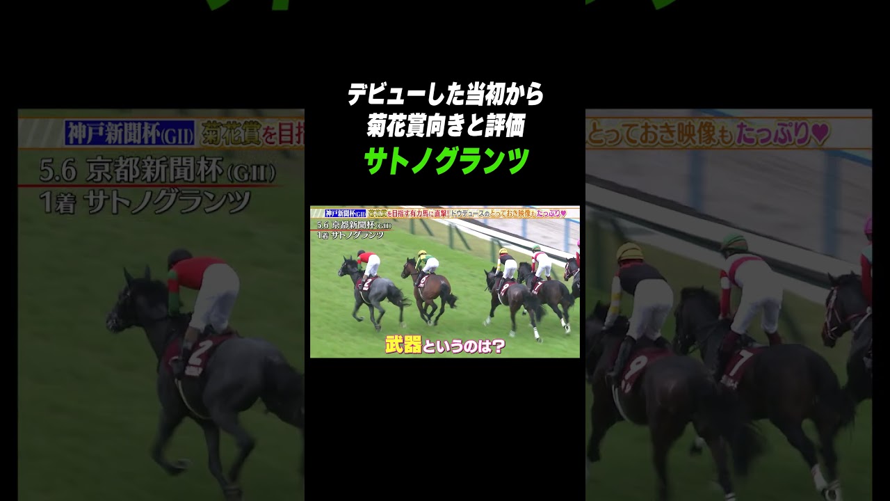 #菊花賞 向き‼ #サトノグランツ 前哨戦の #神戸新聞杯 で弾みを！#shorts
