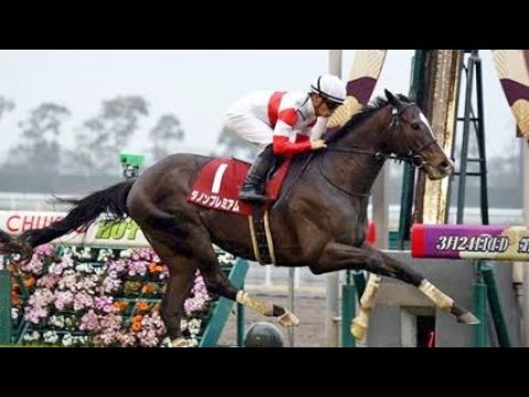 第５５回　金鯱賞 （ＧⅡ）　ダノンプレミアム　牡４　56　川田将雅　2019.3.10　　出走馬：リスグラシュー、エアウィンザー 、ペルシアンナイト、アルアイン、ギベオン、ムイトオブリガード他