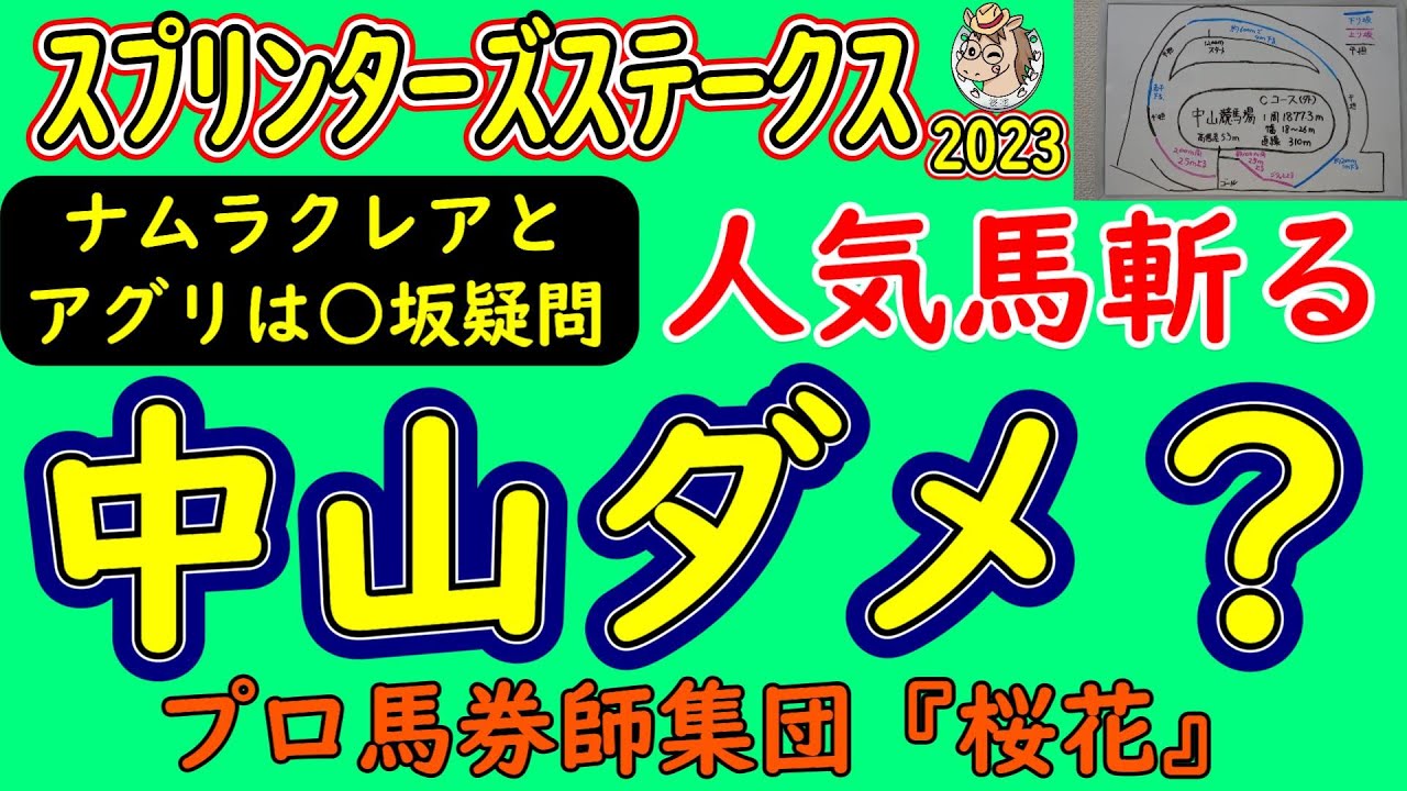 スプリンターズステークス2023コース形態から人気馬の考察！１番人気ナムラクレアと２番人気アグリが想定されているが中山芝外回り１２００ｍが必ずしも合うタイプではなく鍵を握るのは起伏の激しい坂！