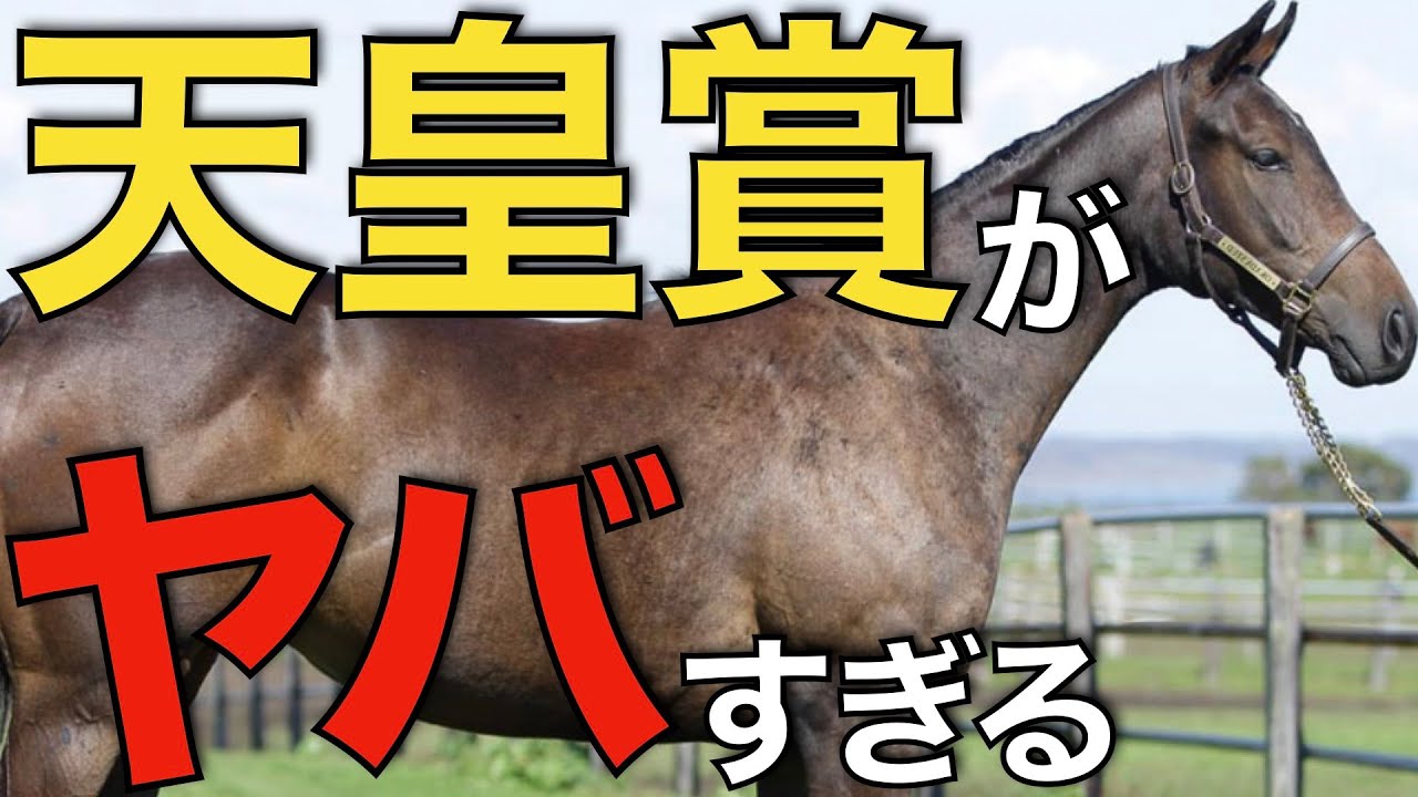 【頂上決戦へ】イクイノックスの天皇賞参戦が実現！歴史に残るレースになりそう。