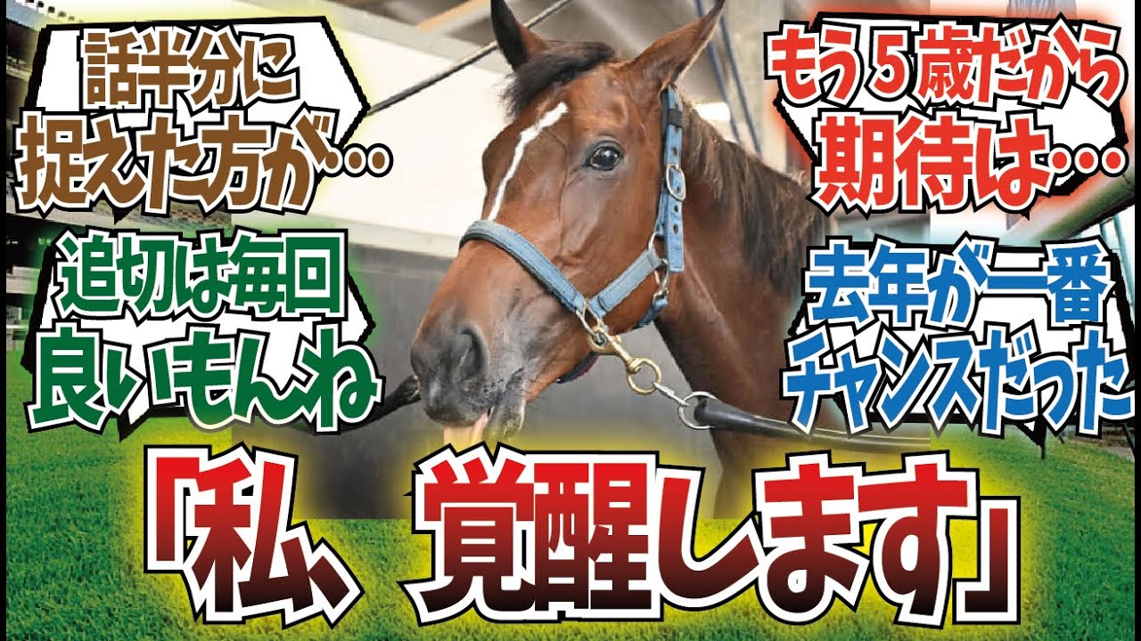 「メイケイエールが馬具を変えて格段に良化！？」に対するみんなの反応集
