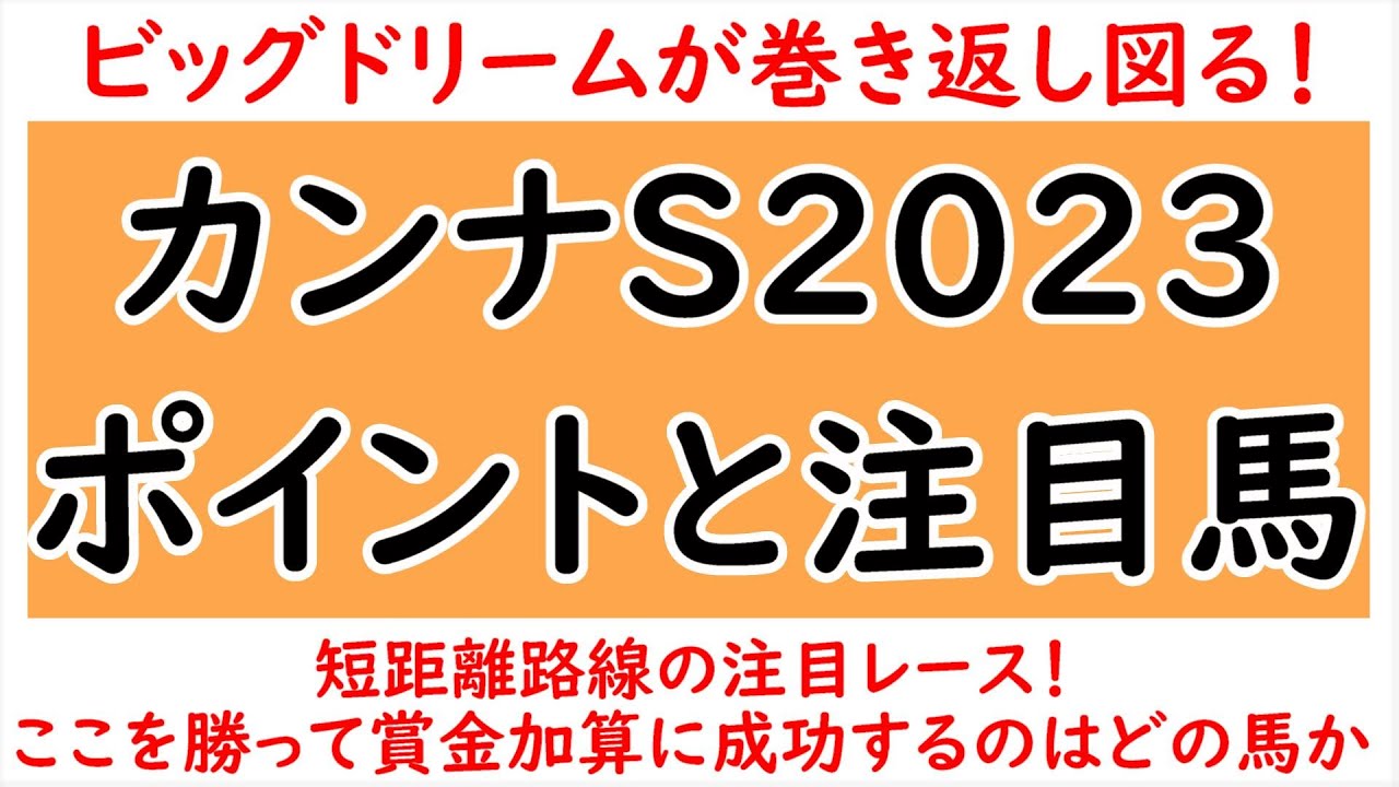 カンナステークスのポイントと注目馬！ビッグドリームが巻き返すか？今後の短距離路線を占う一戦！【カンナステークス2023】