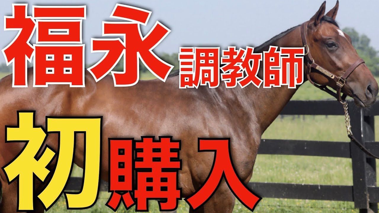 【大事な仕事】福永祐一調教師が米国セールで初購入！日本で活躍目立つあの血筋。