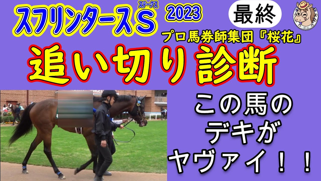 スプリンターズステークス2023追い切り診断！1人気想定ナムラクレアの状態はどうか？意外な馬が状態の良さ目立っておりプロ馬券師集団桜花はどのように診断したか！？