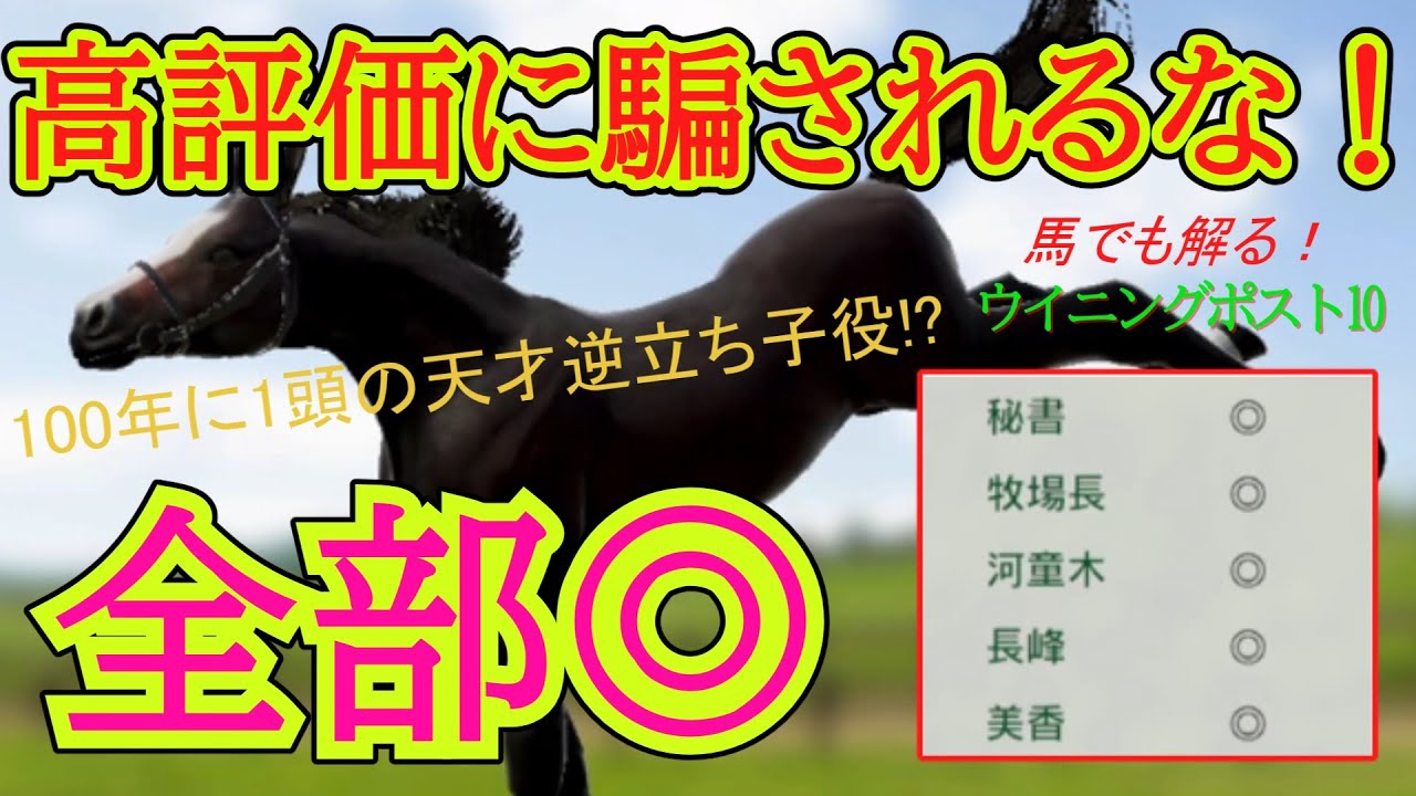【ウイニングポスト10】高評価幼駒の能力を暴く「気になるオール◎とはどんな馬」化け物oｒ駄馬？
