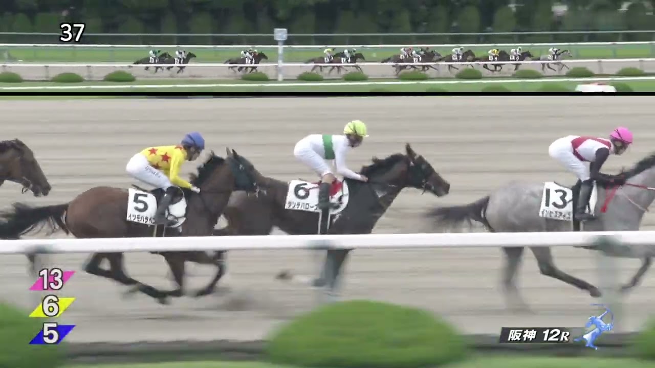 2023 06 10 阪神12R 3歳以上1勝クラス オーサムリザルト(川田将雅)