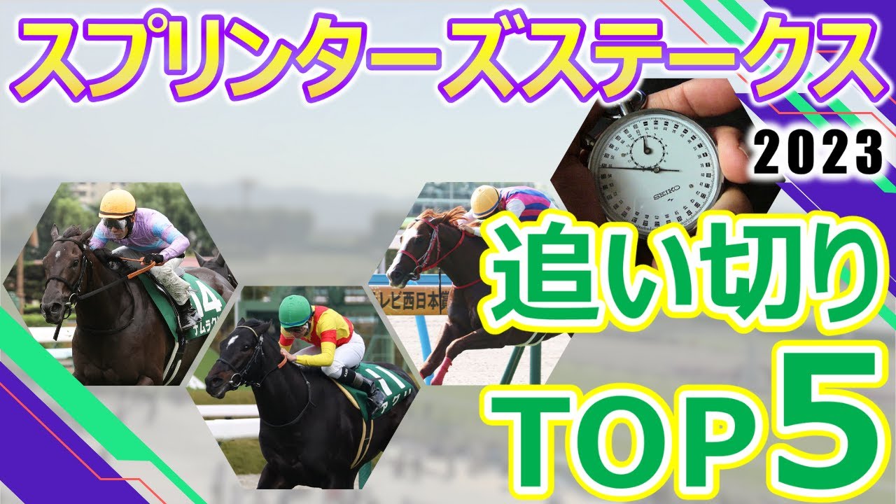 【スプリンターズステークス2023】追い切り評価トップ５　ナムラクレア抜群の反応を見せて好仕上がり‼︎アグリ活気溢れる動きを見せて好気配‼︎スピード以外に持久力も要求されそうな一戦‼︎