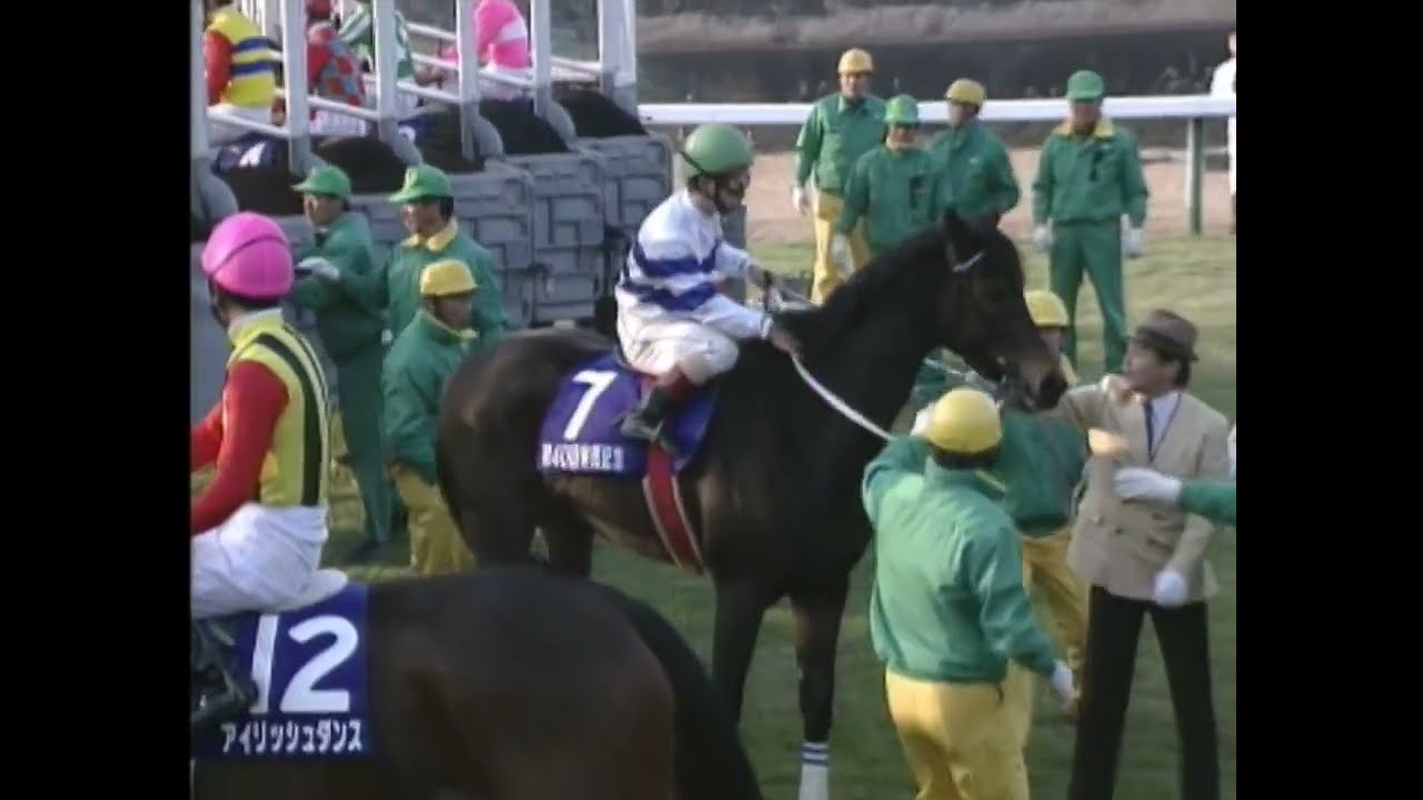 ヒシアマゾン 1995年 第40回有馬記念(GI) (優勝馬：マヤノトップガン)
