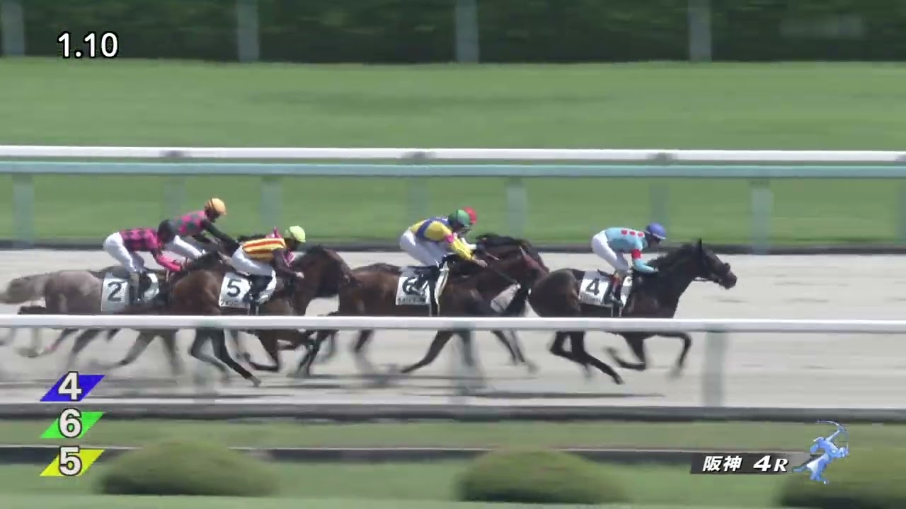 2023 09 17 阪神4R 2歳新馬 エストレヤデベレン(C.ルメール)
