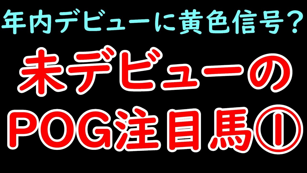 年内デビューに黄色信号！？未デビューのPOG注目馬① シャハザマーンなど5頭紹介【POG23-24】