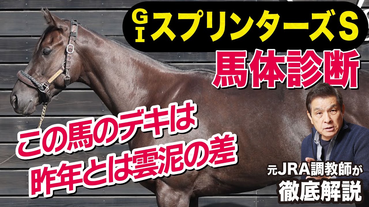 【スプリンターズS2023】中村均元調教師が馬体診断　有力馬を徹底解説＆体調さえ戻れば狙える穴馬《東スポ競馬ニュース》