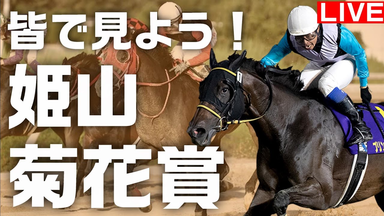 地方競馬 / 皆で見よう！オータムカップ と 姫山菊花賞 【 園田 笠松 】地方競馬ライブ　ホッカイドウ競馬