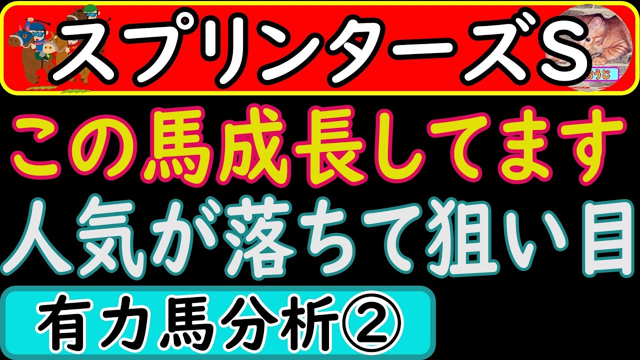スプリンターズステークス2023年に出走予定の人気馬分析パート②！ジャスパークローネ・モズメイメイ・マッドクール
