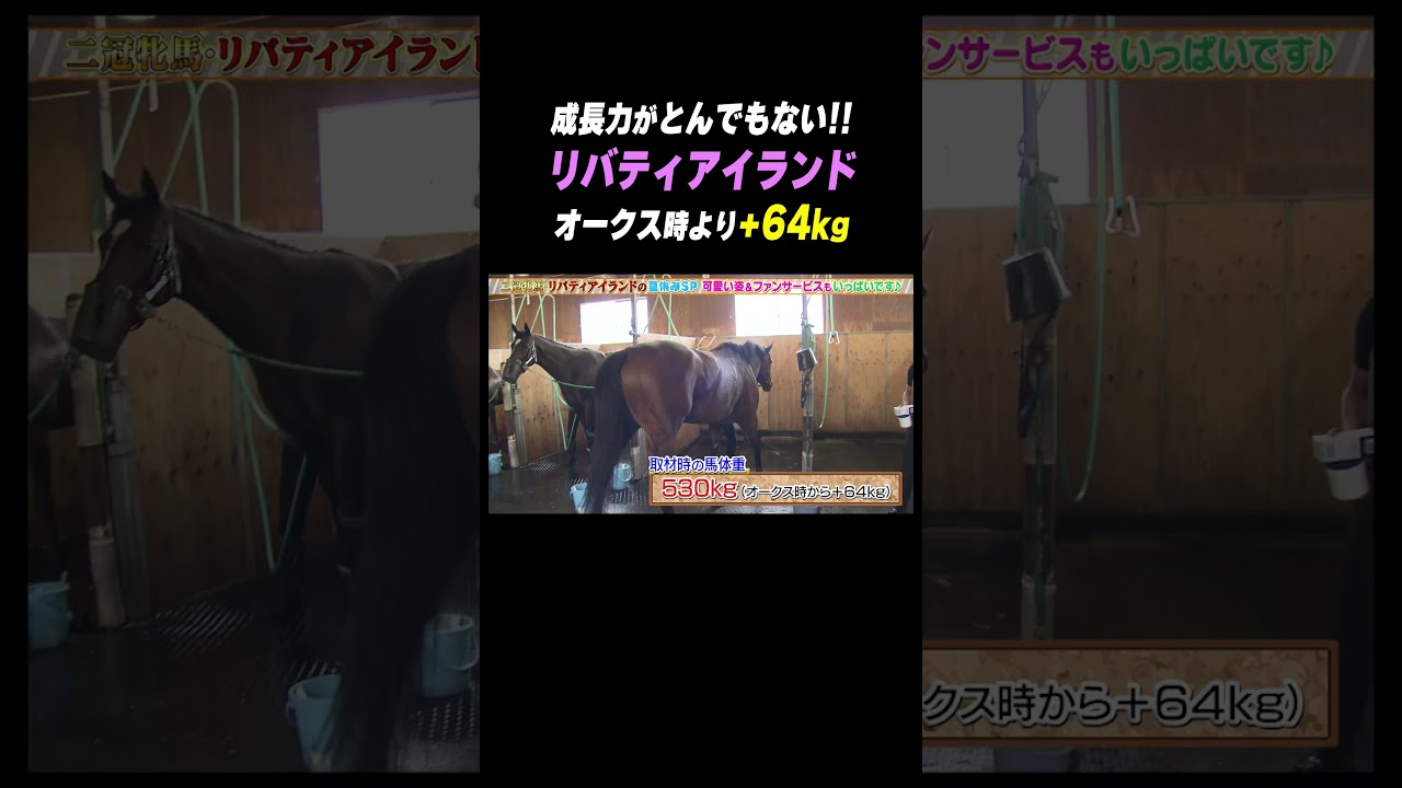 怪物 #リバティアイランド がとんでもない馬になってきた！#shorts
