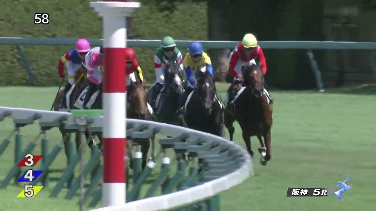 2023 09 16 阪神5R 2歳新馬 デルシエロ(坂井瑠星)