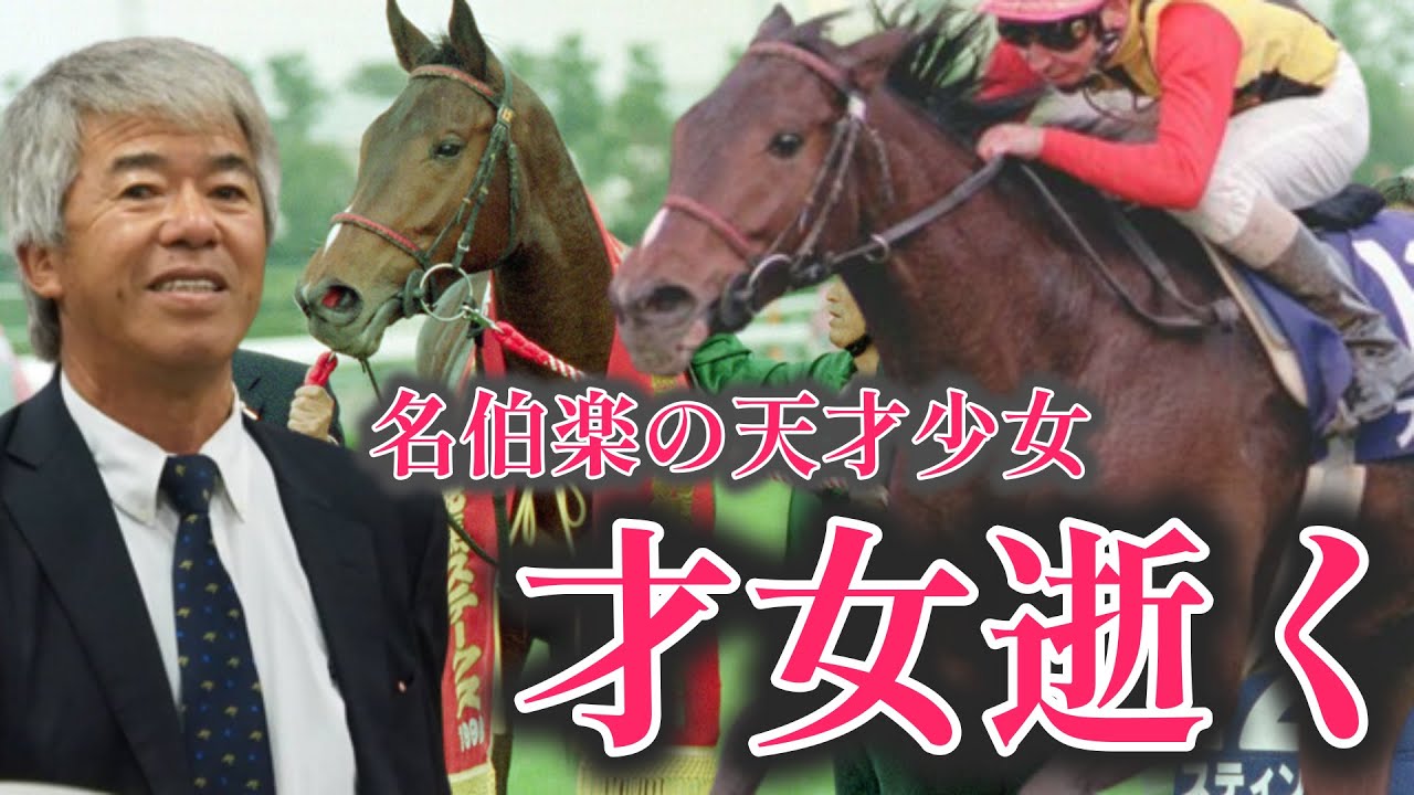 才女逝く　スティンガー