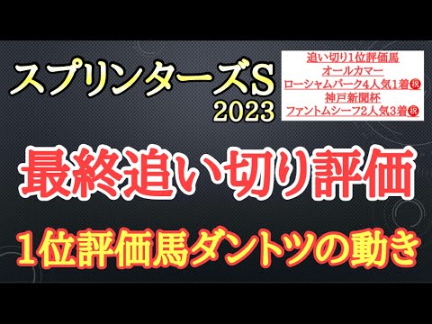 【スプリンターズステークス2023】最終追い切り評価！ナムラクレアら有力馬の動きはどうだったのか？そして個人的追い切り1位はどの馬だ！？