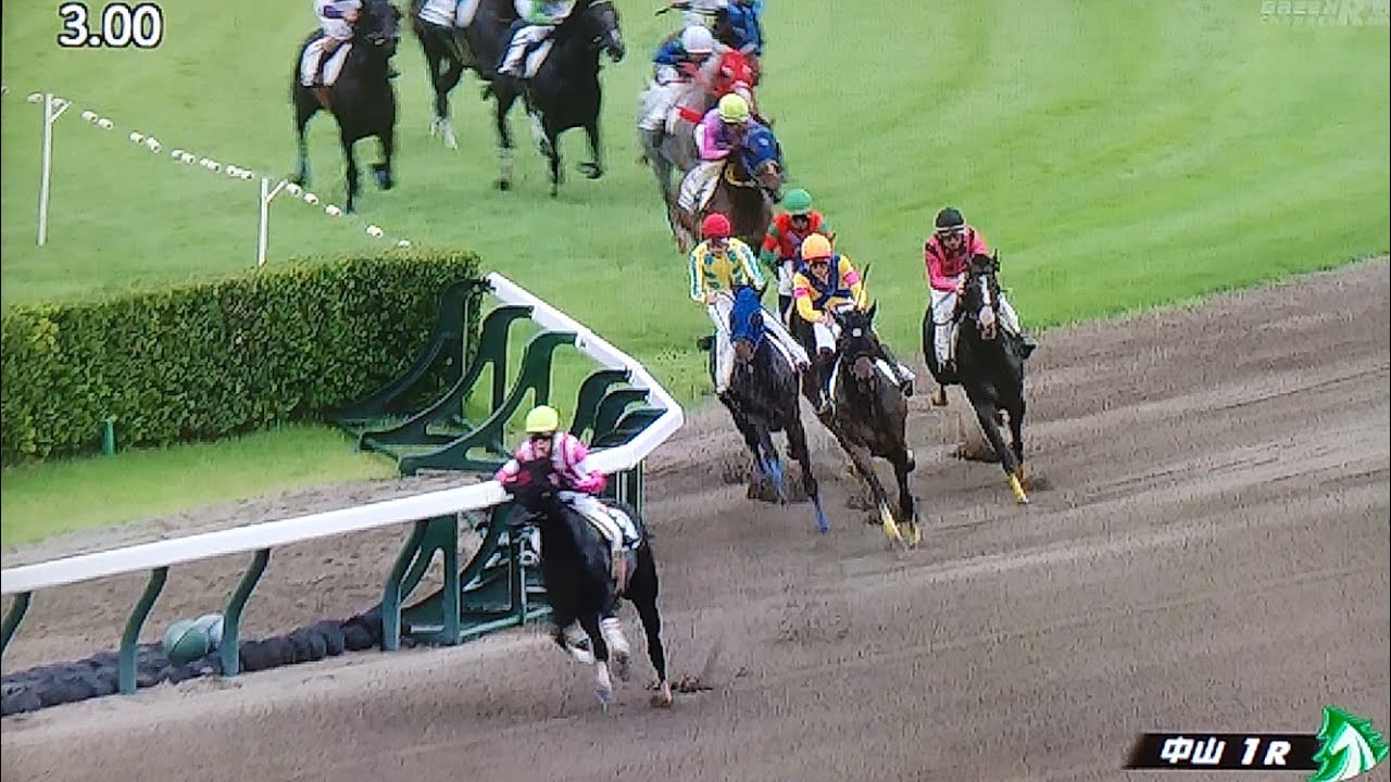 中山1レース障害未勝利 オシリスブレイン