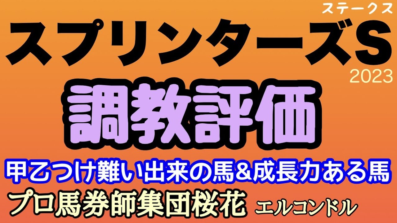 プロ馬券師集団桜花エルコンドル氏のスプリンターズステークス2023調教評価！！秋のG1シーズン開幕に向けて各馬の出来は！？さらに状態を上げた馬に成長力のある馬もおり評価が難しい！