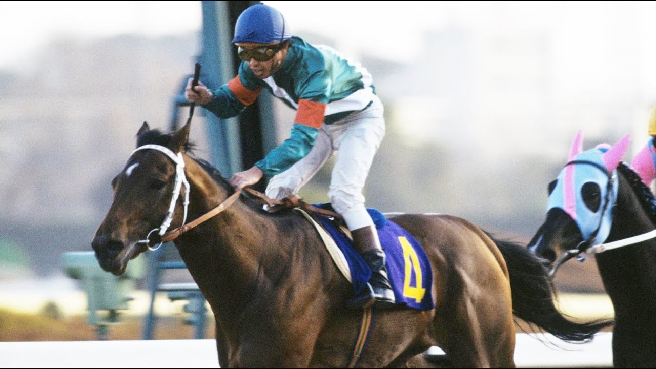 第２９回　有馬記念（グランプリ） （ＧⅠ）　シンボリルドルフ　牡３　55　岡部幸雄　1984.12.23　　出走馬：カツラギエース、ミスターシービー、スズマッハ、ダイナカール、ダスゲニー他