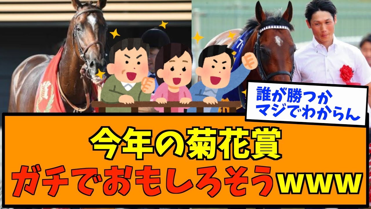 今年の菊花賞ガチで最高に面白いレースになる