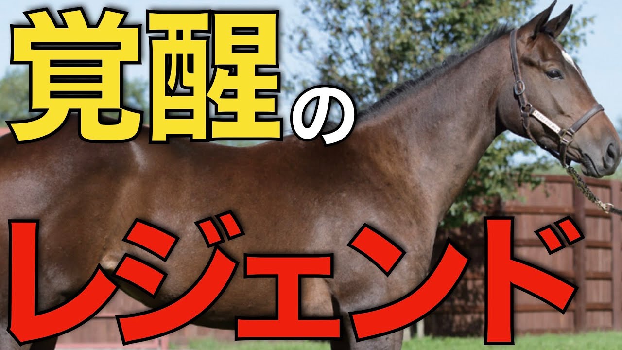 【伝説級】種牡馬ダノンレジェンドの勢いがヤバすぎる！兄弟種牡馬にも要注目。