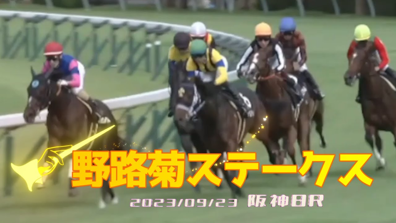 2023/09/23【パドック返し馬つき】阪神８R　野路菊ステークス　2歳OP　☆ヴェロキラプトル　スワーヴリチャード　＃レースは8分ころから