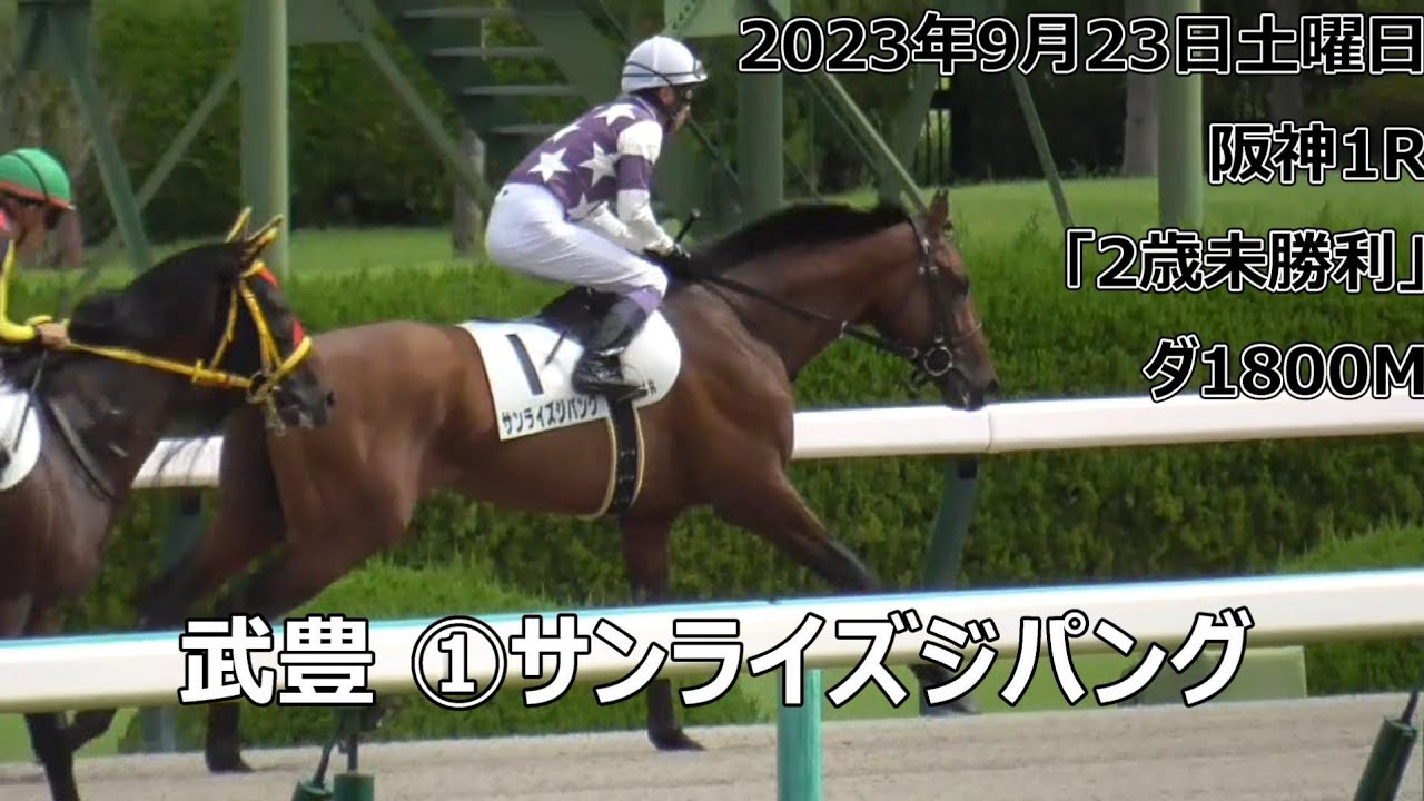 武豊 ①サンライズジパング(牡2) 2023年9月23日㈯阪神1R「2歳未勝利」ダ1800M