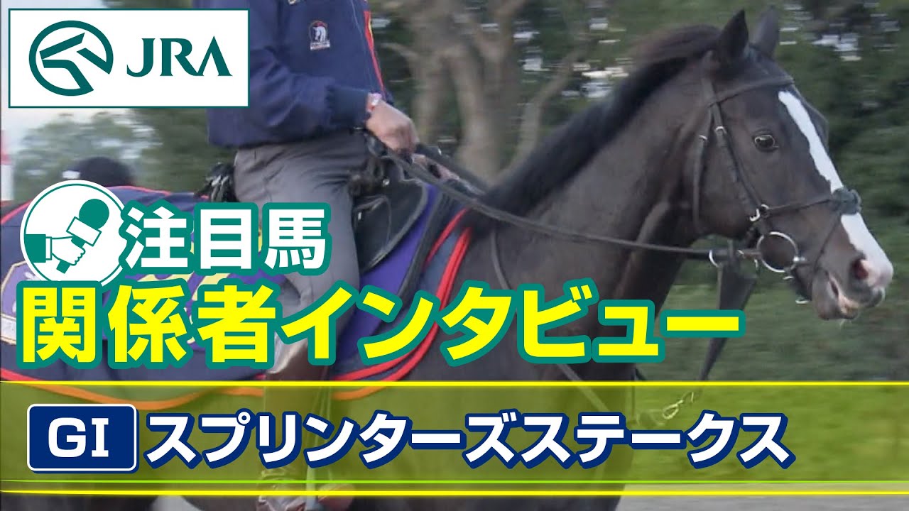 【注目馬 関係者インタビュー】2023年 スプリンターズステークス｜JRA公式