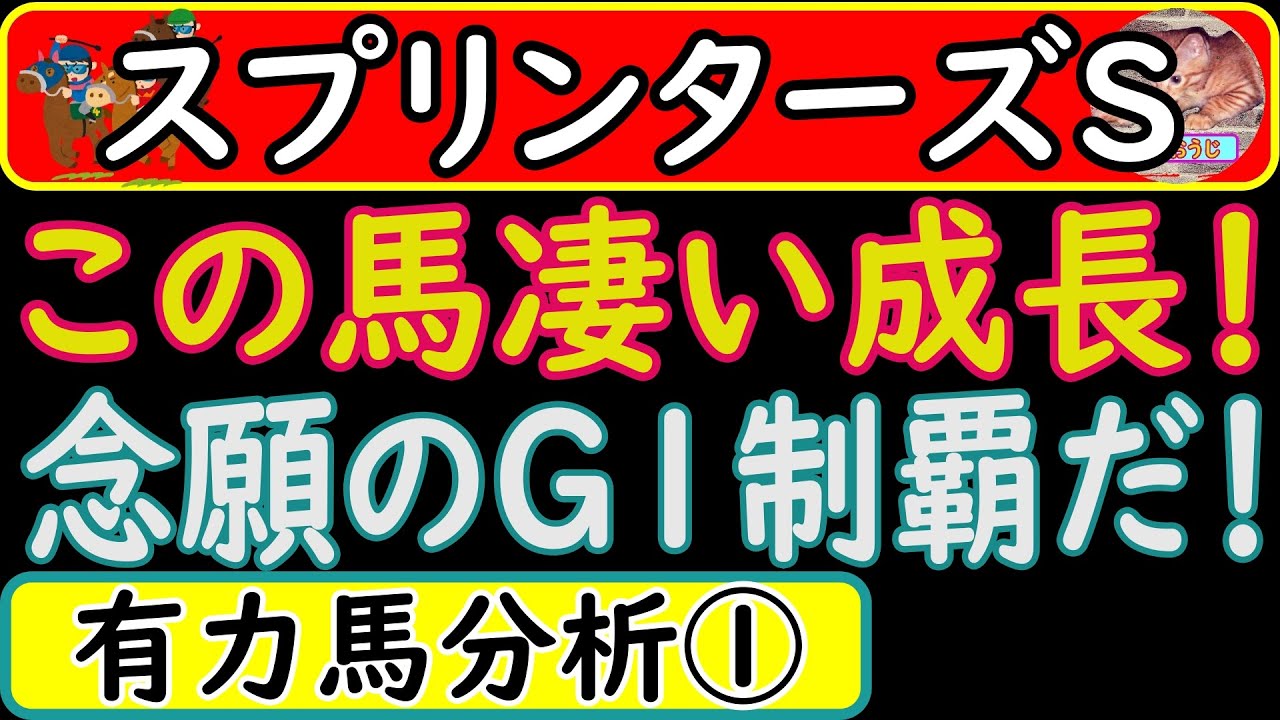 スプリンターズステークス2023年の予想オッズ上位馬分析！ナムラクレア・アグリ・ママコチャ