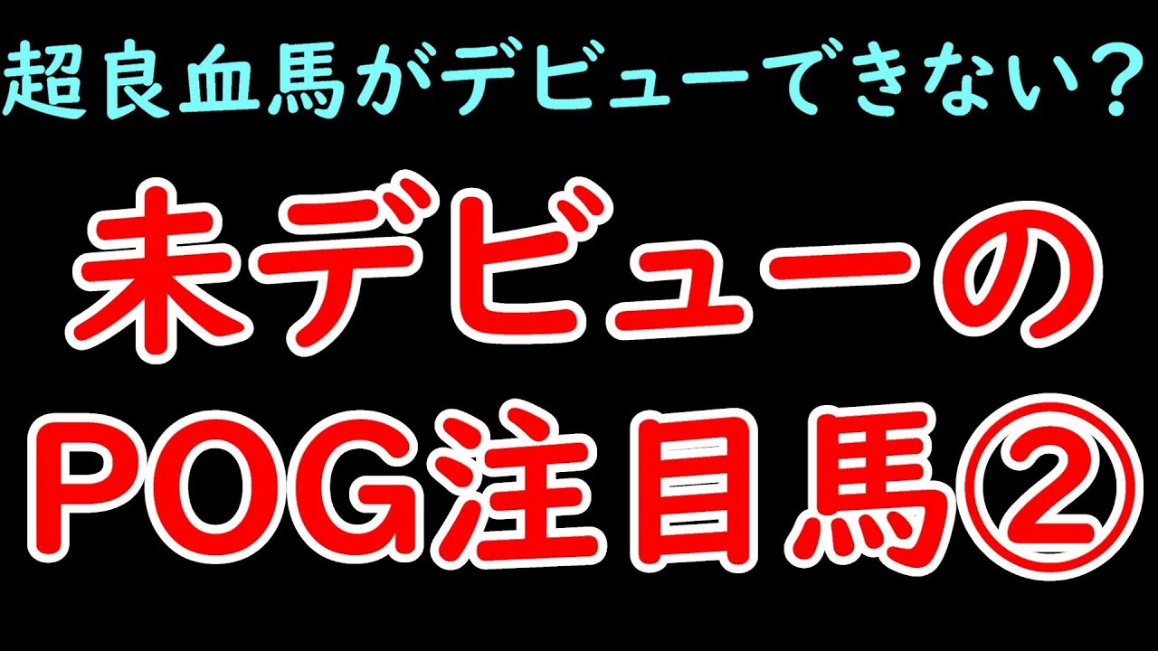 超良血馬がデビューできない？未デビューのPOG注目馬2 ダノンモンブランなど 5頭紹介【POG23-24】