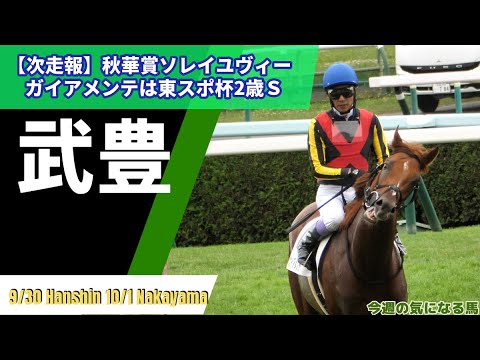 【武豊】次走報！秋華賞にソレイユヴィータ！ガイアメンテは騎手不明も次走決まる！今日は阪神で５鞍！ブラーヴイストワル、シリウスＳクリノドラゴンに期待！