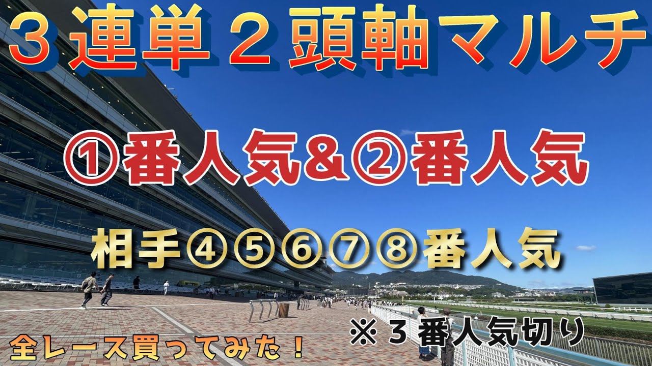 【競馬検証】奇を衒うな！３連単２頭軸マルチで勝負！（阪神競馬場現地観戦編）