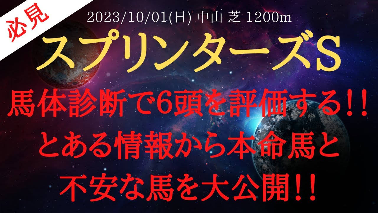 【 最終結論・馬体診断 】スプリンターズステークス 2023 予想 馬体診断で６頭を評価する！！とある情報から本命馬と不安な馬を大公開！！【中央競馬予想】