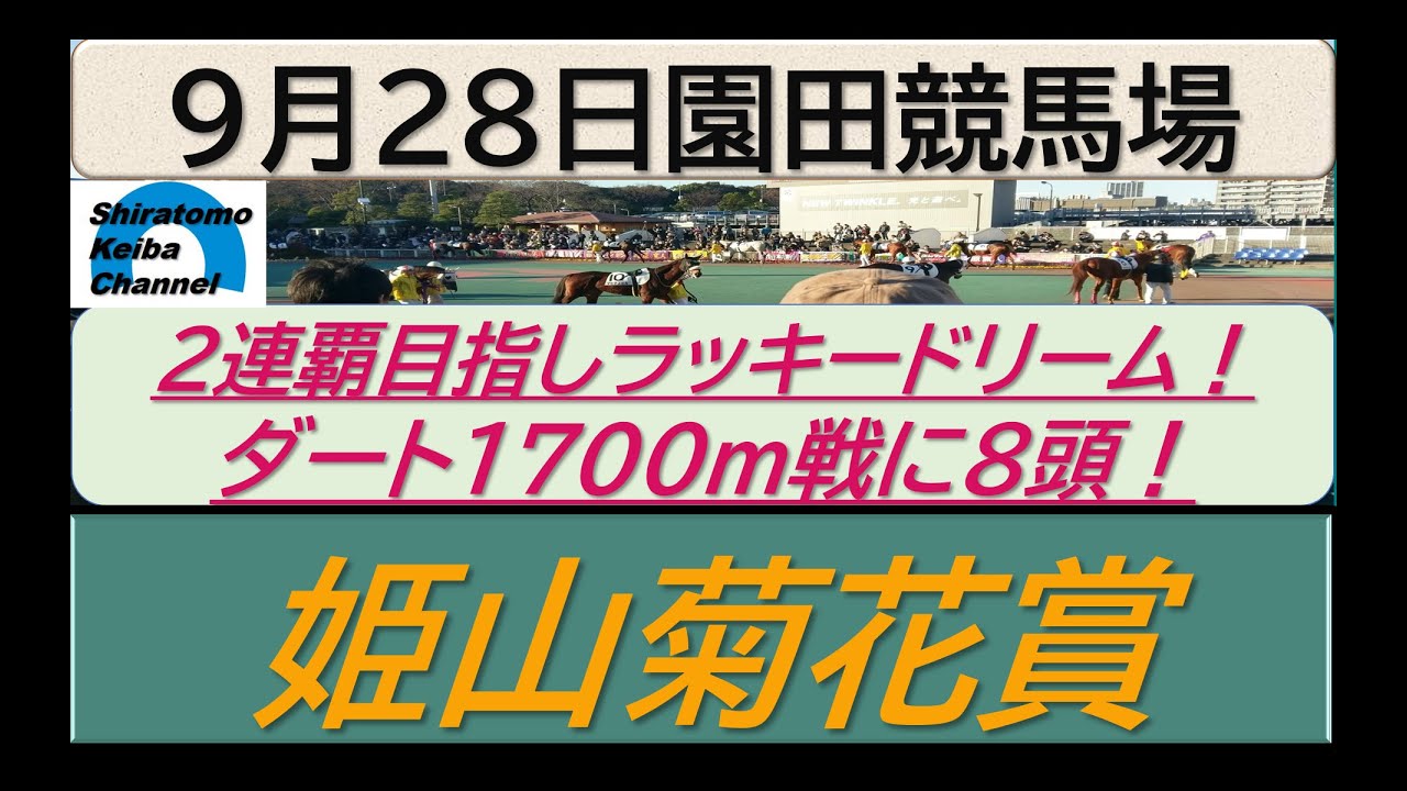 【競馬予想】重賞・姫山菊花賞！～２０２３年９月２８日 園田競馬場 ：９－５０