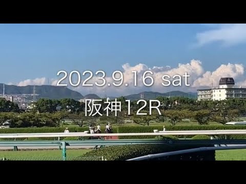 【川田将雅】ロードアウォード 阪神12R 現地映像