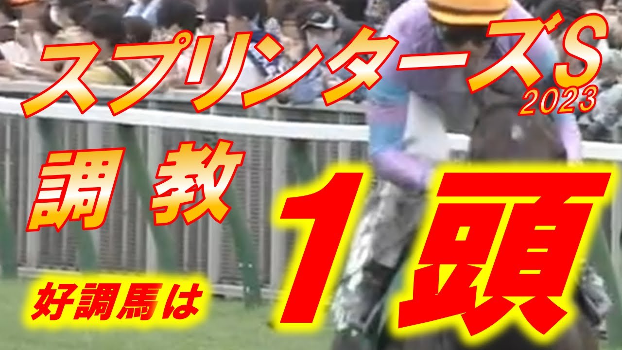 スプリンターズS2023　追い切り診断　ナムラクレア、アグリ、ピクシーナイト等　最強スプリンターはどの馬！？　元馬術選手のコラム by アラシ