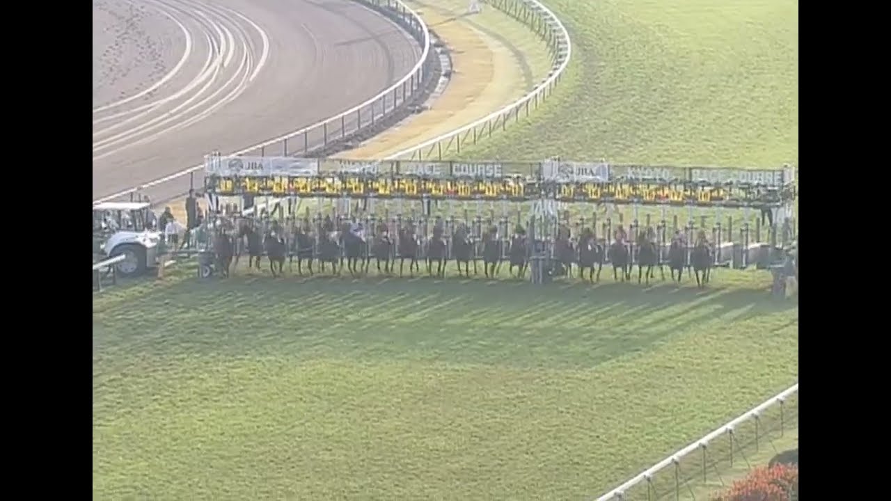 カワカミプリンセス 2008年 第33回エリザベス女王杯(GI) (優勝馬：リトルアマポーラ) (実況：ラジオNIKKEI)