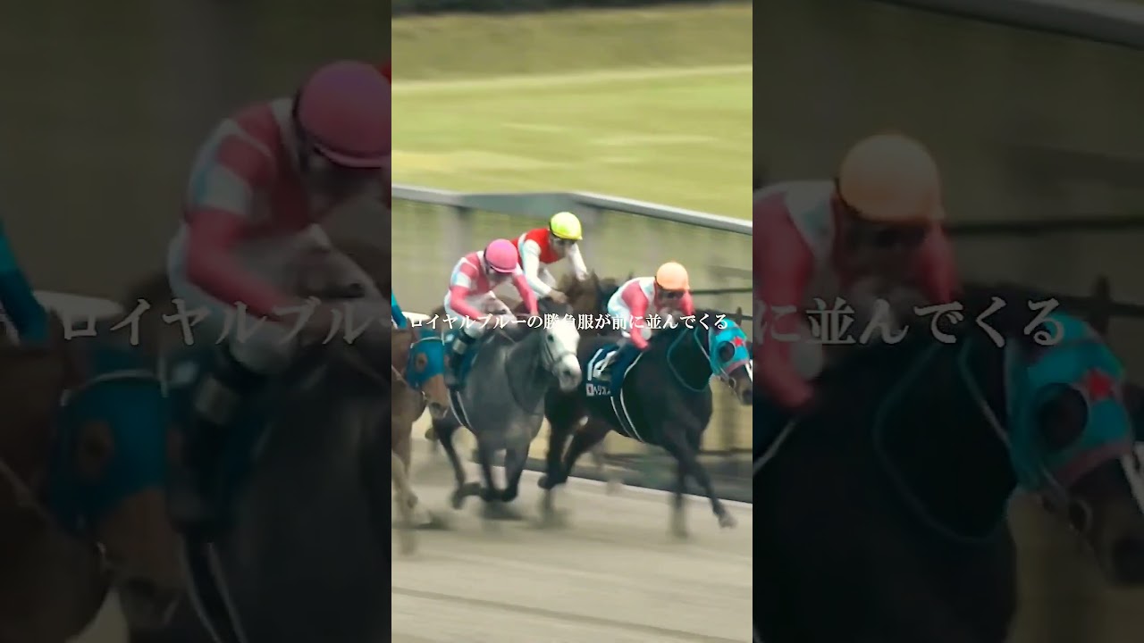 上半期G1レース名シーン！第9弾！フェブラリーステークスを制したレモンポップ！坂井瑠星との名コンビ誕生！ #horseracing #競馬  #坂井瑠星 #フェブラリーステークス  #おすすめ