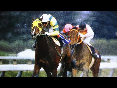 『マックスビューティ独走だ独走だ！』第４７回　桜花賞 （ＧⅠ）　マックスビューティ　牝３　55　田原成貴　1987.4.12　　出走馬：コーセイ 、ワンダーレジスト、ハセベルテックス他　実況：杉本清