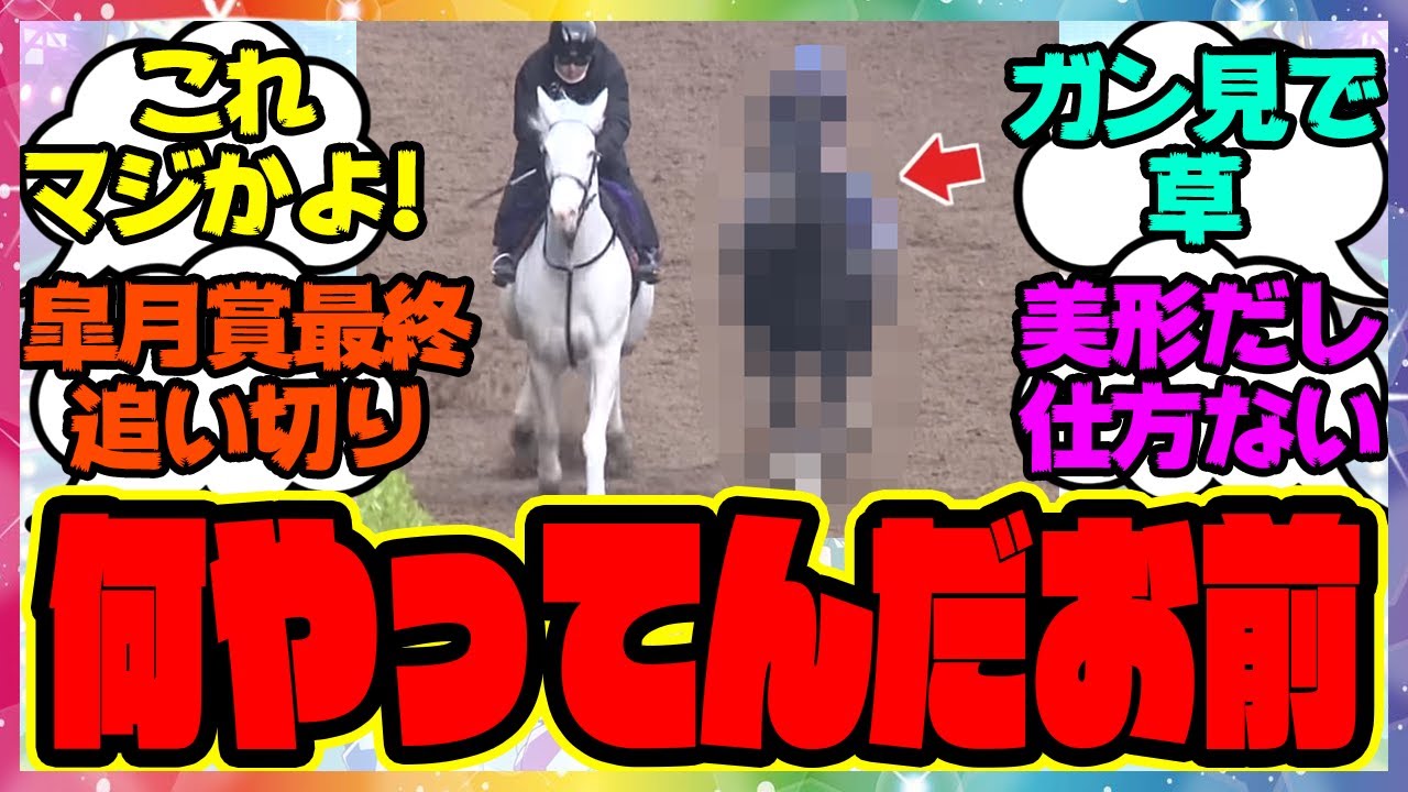『皐月賞最終追い切りでソダシをガン見するフリームファクシが話題に！』に対するみんなの反応集 まとめ ウマ娘プリティーダービー レイミン
