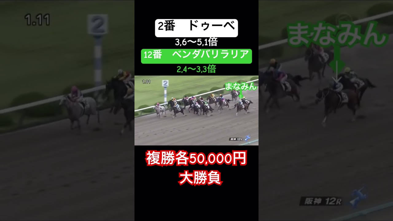 #101【スプリンターズS当日】メインレースでの負けはしっかり最終レースで返す！？4番人気7番人気の複勝100,000円勝負！！