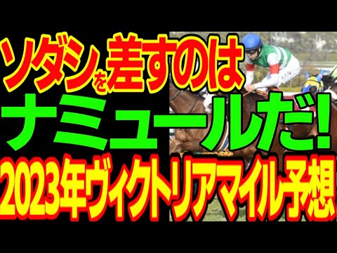 ナミュールが本命！逆神と呼ばれた予想家がスターズオンアース、ソングラインを切って、バチコリ儲けることを画策する2023年ヴィクトリアマイル予想動画【私の競馬論】【競馬ゆっくり】