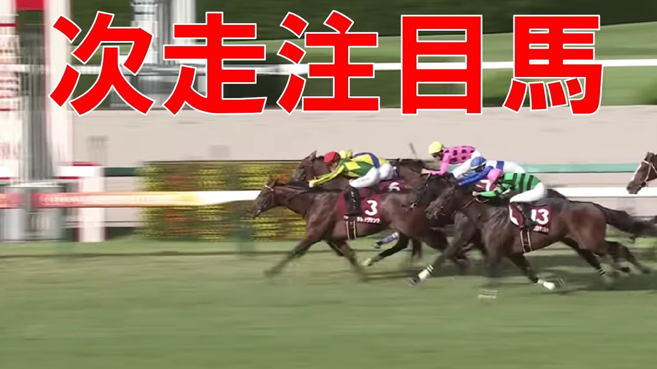 神戸新聞杯　オールカマー 回顧  2023
